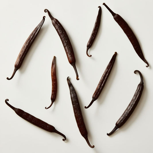 PLANT PROTEIN - VANILLA