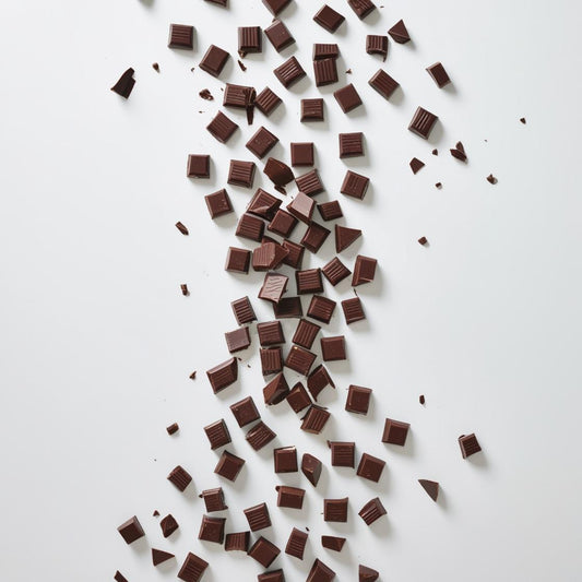 PLANT PROTEIN - CHOCOLATE