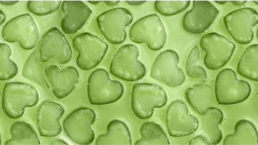 Woman journaling and sipping tea in sunlit home