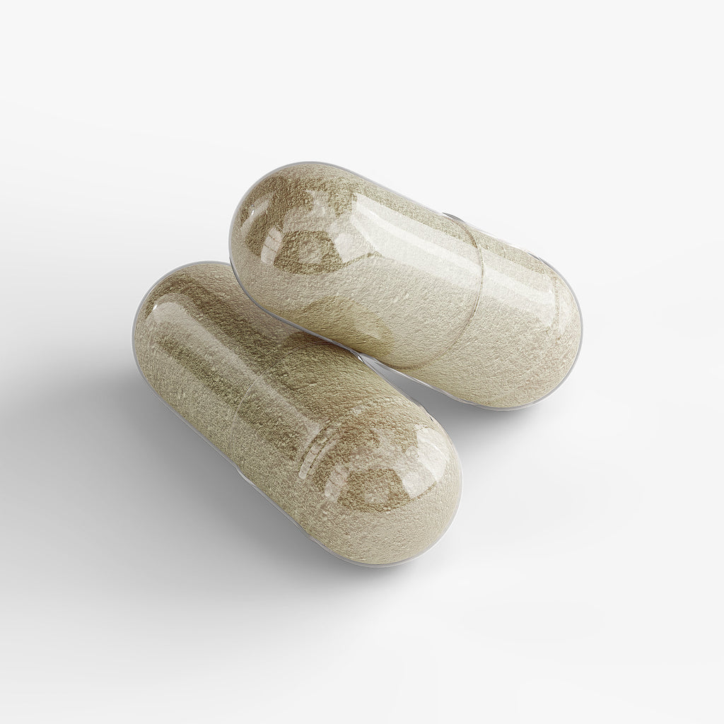 THE BASE - WELLNESS FOUNDATION