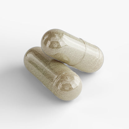 THE BASE - WELLNESS FOUNDATION