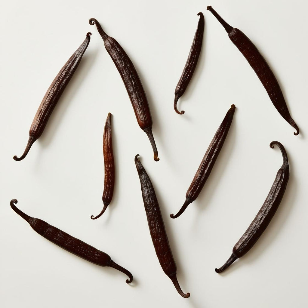 PLANT PROTEIN - VANILLA
